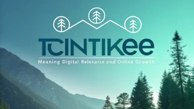 Tcintikee: Meaning Digital Relevance and Online Growth